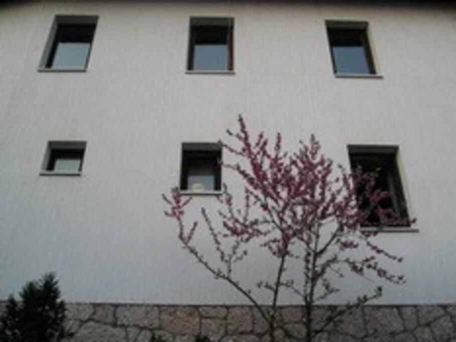 Apartment In Old Town - Top Location Sarajevo Ngoại thất bức ảnh